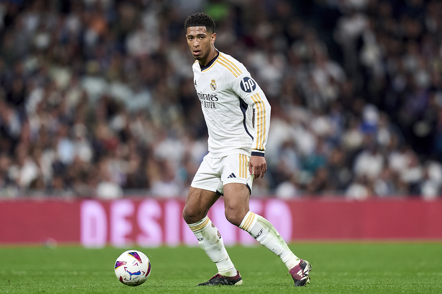 石斑鱼作为 石斑鱼作为