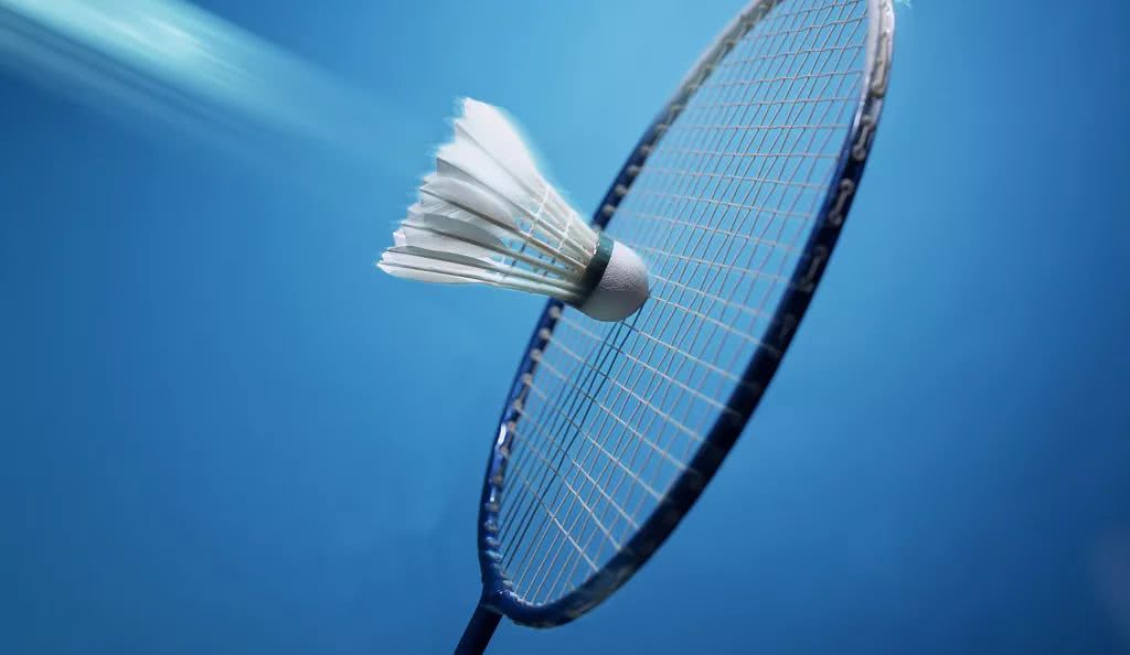 林诗栋的成 林诗栋的成